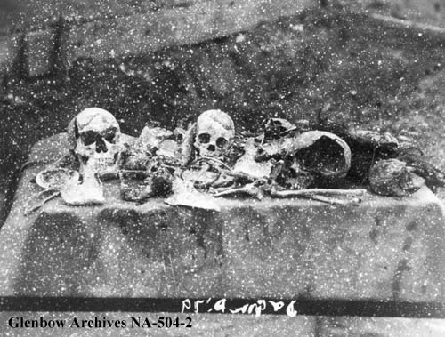 swiftfunner skulls.jpg